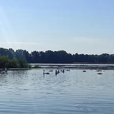 Ferienwohnung Am Olbasee Malschwitz Exterior foto