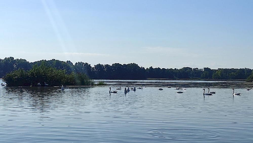 Apartment Am Olbasee Malschwitz